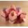 Bomboniera saponetta rosa lilla